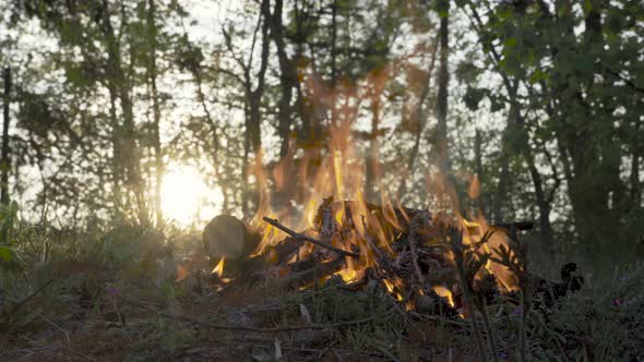 Fire Burning in the Woods at Sunset. Camp in a Forest Clearing.