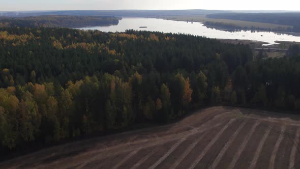 Fields and forest in autumn time in Ural