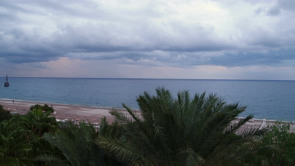 Palm Trees, Blue Sky and Beach alt