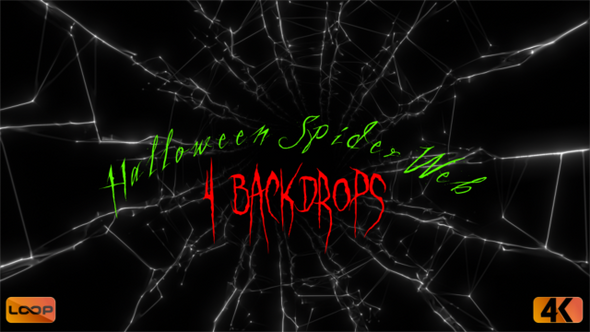 Halloween Spider Web  B