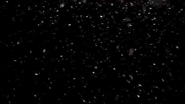 Real Snow Snowing Winter alt