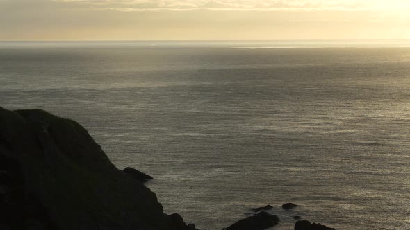 Sea stumps and a golden sky at sunrise alt