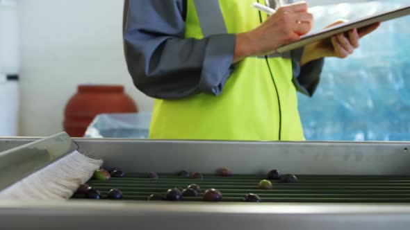 Female worker writing on clipboard in olive factory alt