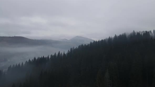Foggy Forest In The Carpathians From A Bird's Eye View alt