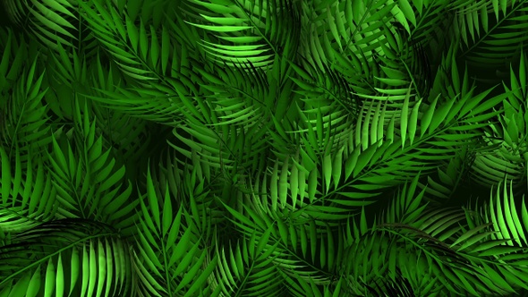 Plants Jungle, Motion Graphics | VideoHive