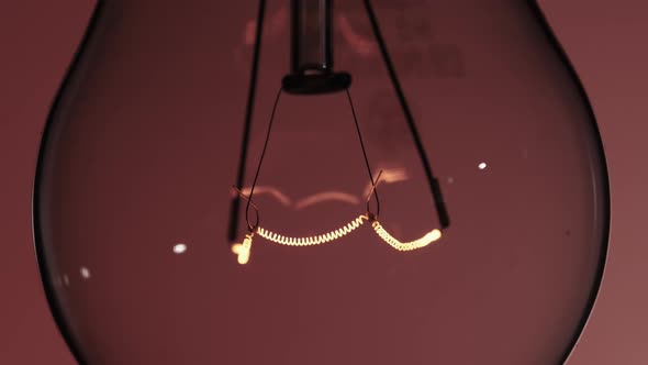 The Tungsten Filament in a Glass Lamp Closeup in Slow Motion on Red Background alt