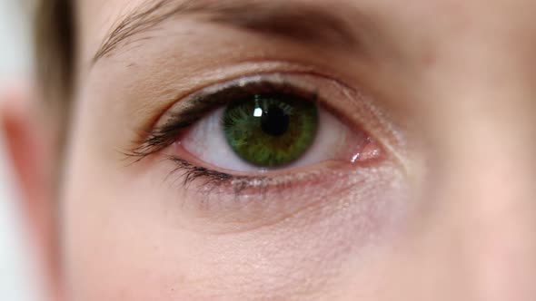 Close-up of woman eye alt