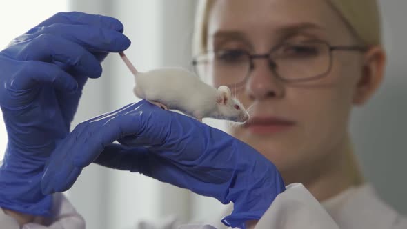 Animal Testing of Drugs and Cosmetics