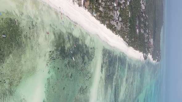 Vertical Video of the Ocean Near the Coast of Zanzibar Tanzania Aerial View alt