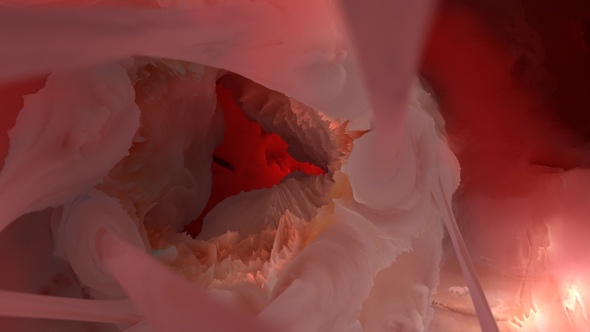 Heart Valves Shot 01