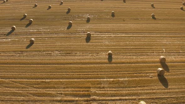 20200816 M2p 00000143  alt