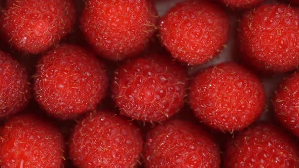 Fresh Ripe Juicy Raspberry Background Close Up Berry Rotation Zoom Out Food Background