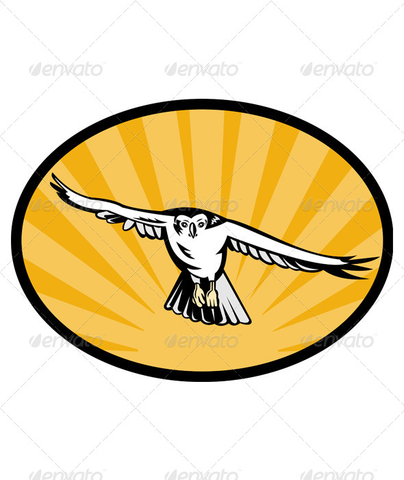 Goshawk Flying Retro - Animals Characters