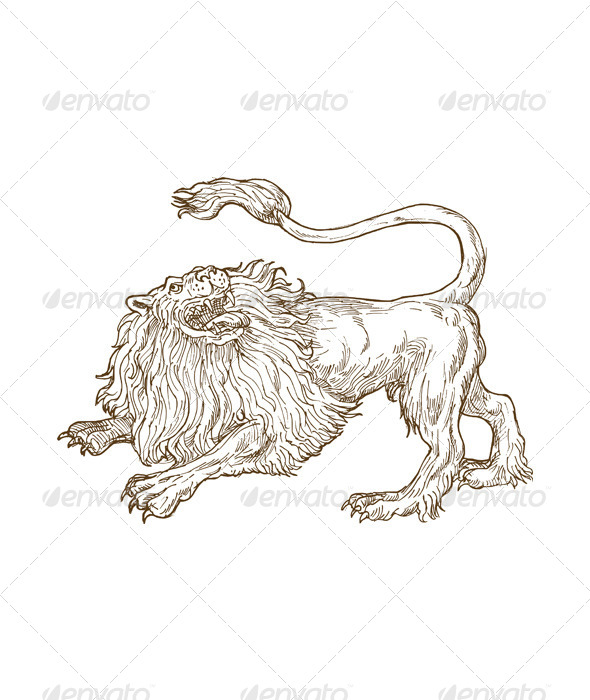 Lion Big Cat Sketch - Animals Characters