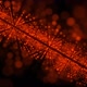 Bright Orange Background Of Particles - VideoHive Item for Sale