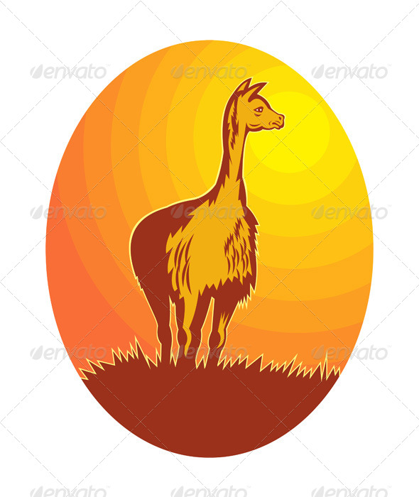 Vicuña Retro - Animals Characters