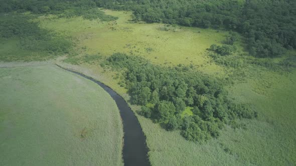 Aerial Drone Vertical View Beautiful Natural Scenery of Green Meadow with River alt