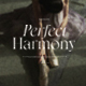 Perfect Harmony - Aesthetic Serif