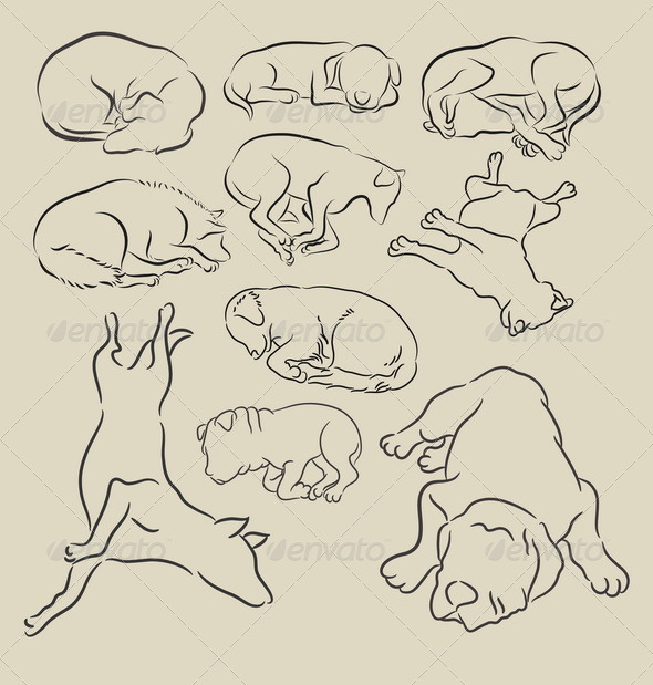 Dog Sleeping Sketches - Animals Characters