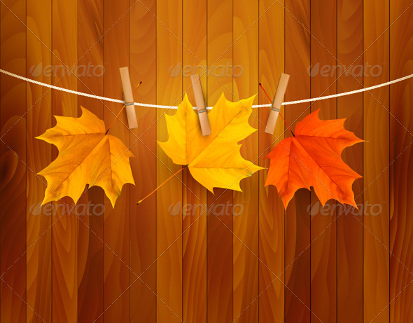 Autumn Background with Leaves Vector - Seasons Nature