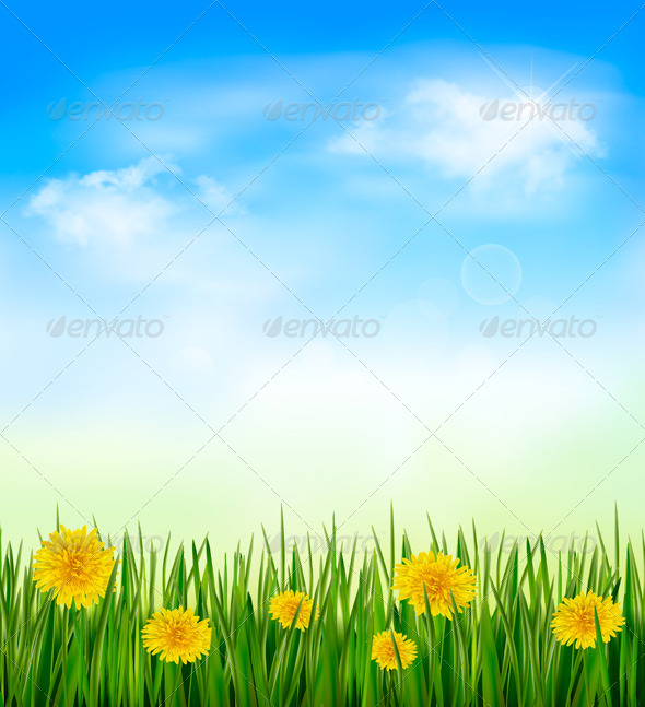 Nature Background with Green Grass and Flowers - Nature Conceptual