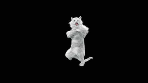 White Lion Dancing HD alt