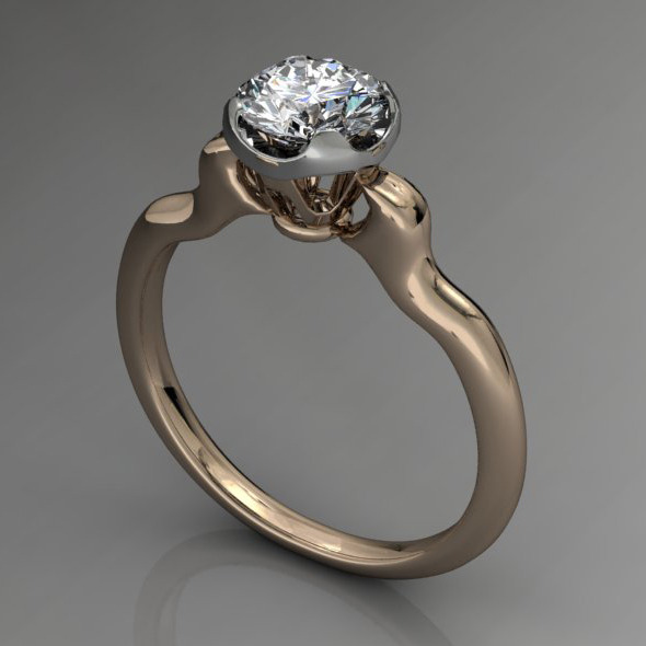 Diamond Ring NRC13 - 3Docean 4956189