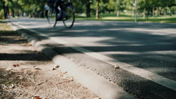 Crowd of People Exercising in the Park 06 alt