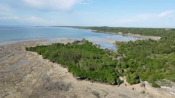 Shore of Zanzibar Island Tanzania at Low Tide Slow Motion alt