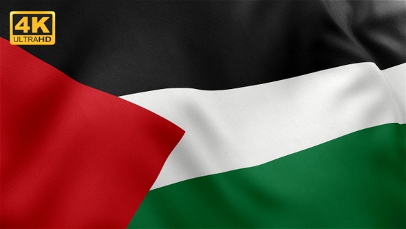 Palestine Flag - 4K alt
