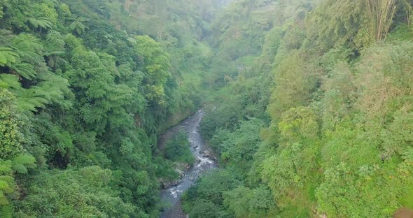 river surrounded by trees and grass in the morning. Kedung Kayang Waterfall, Magelang, Central Java, alt