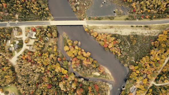 Autumn leaves. beautiful colors - pullout, birds eye view, topview - 4k - Drone - sequence 004/005 alt