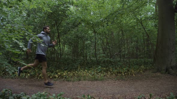 Man Jogging Along Forest Path