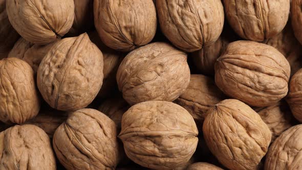 Whole Walnut Closeup alt