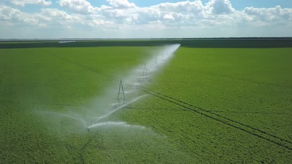 Irrigation System on Green Blooming Fields at Summer, Aerial View