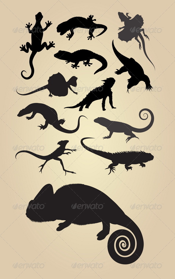 Reptilian Silhouettes - Animals Characters