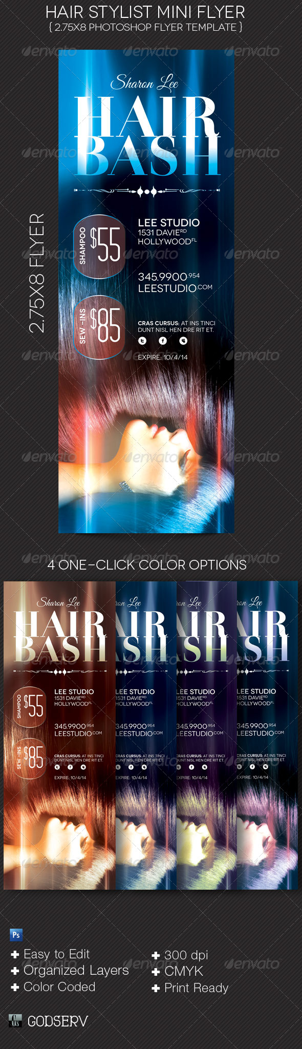 Hair Stylist Mini Flyer Template - Commerce Flyers