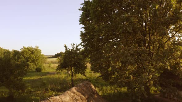 View From a Drone Rising and Flying Upon Field alt