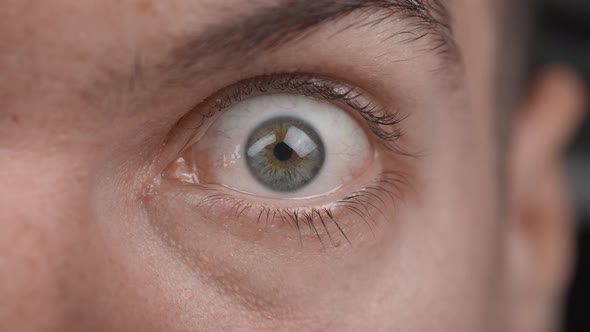 Extreme Close Up of Surprised Male Opens His Eye Wide and Stares at the Camera alt