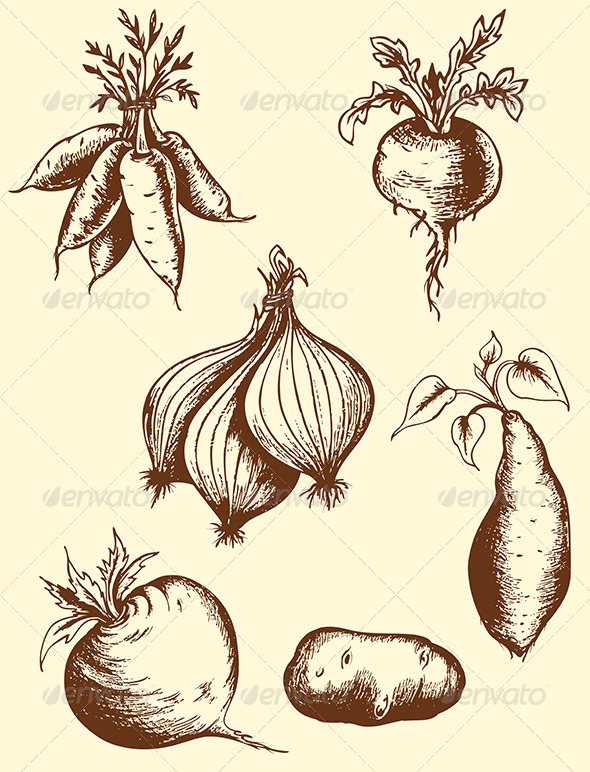 Hand Drawn Roots - Food Objects