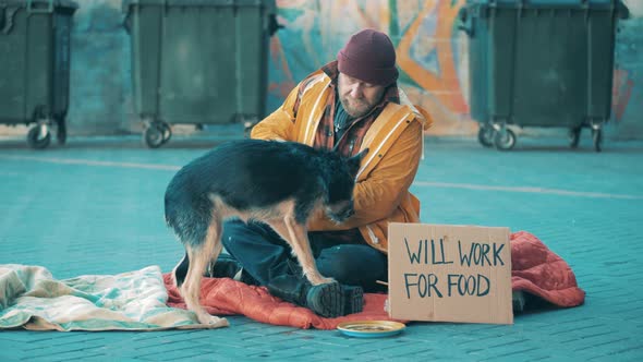 A Homeless Man is Feeding His Dog in the Street alt