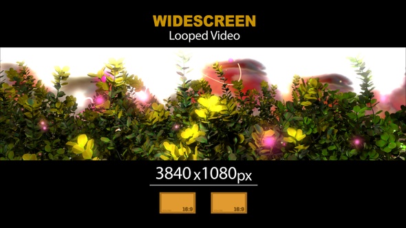 Widescreen Garden Branches Of Colorful Flowers Magic 01