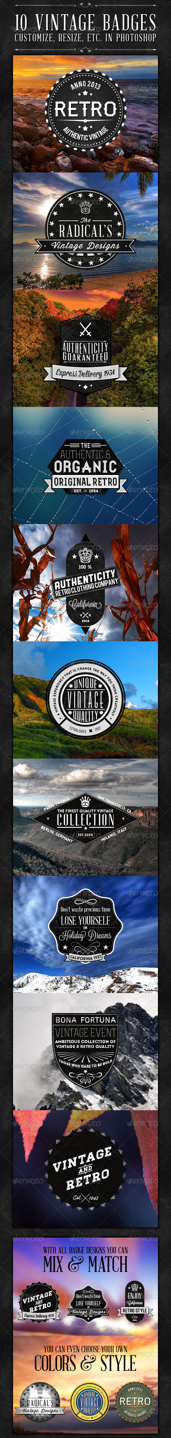 10 Vintage Badges - Badges & Stickers Web Elements