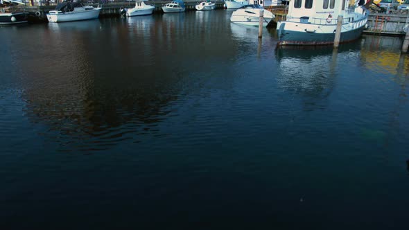 Ancient Architecture With Waving Flag in Copenhagen Harbor, Scandinavian Tourism alt