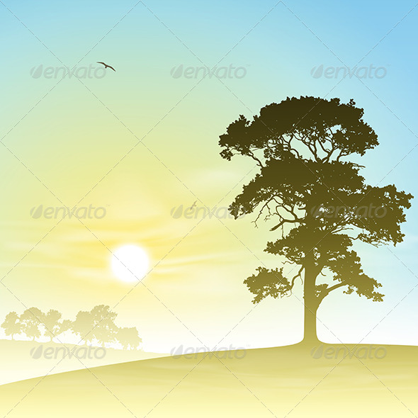 Meadow Landscape - Landscapes Nature