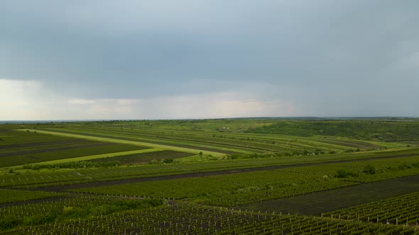 Aerial View Countryside Beautiful Farms and Vineyards Beautiful alt