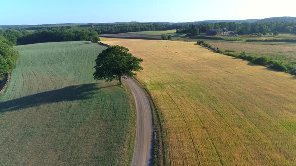 Flying Over Fields and Gravel Road