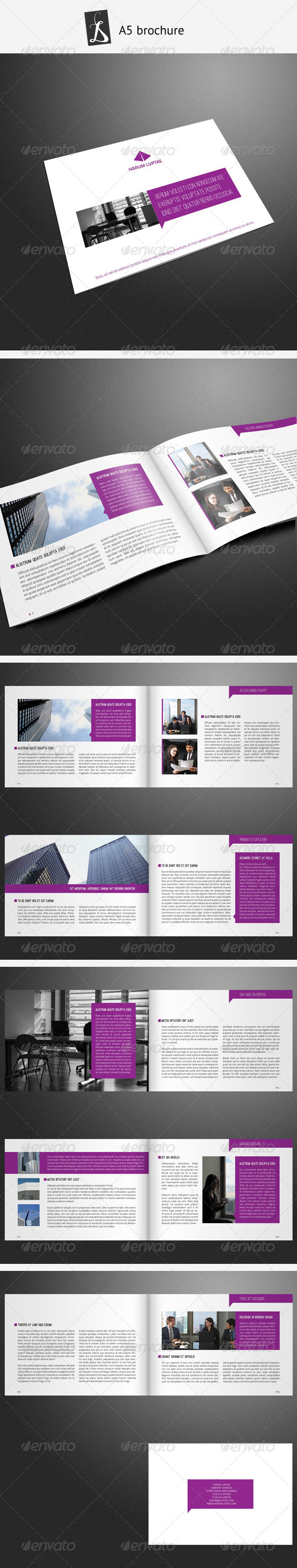A5 Brochure 8
