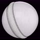 ODI or T20 Cricket Ball Loop - VideoHive Item for Sale