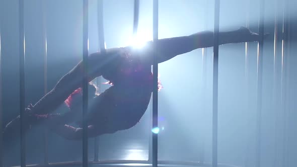 Acrobat in a Gymnastic Hoop It Is Spinning a on a Smoke Scene in a Cage. Smoke Background. Slow alt